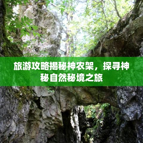 旅游攻略揭秘神农架，探寻神秘自然秘境之旅