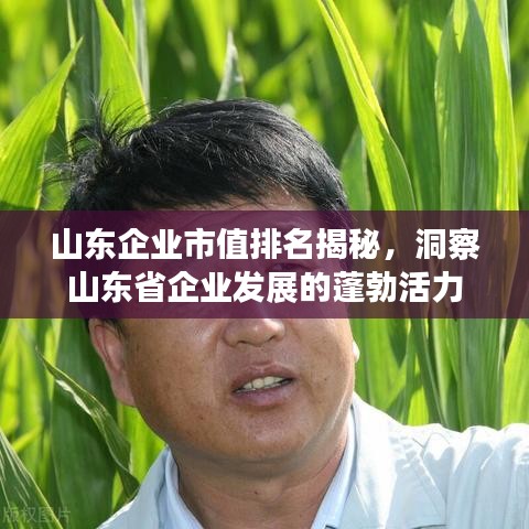 山东企业市值排名揭秘，洞察山东省企业发展的蓬勃活力