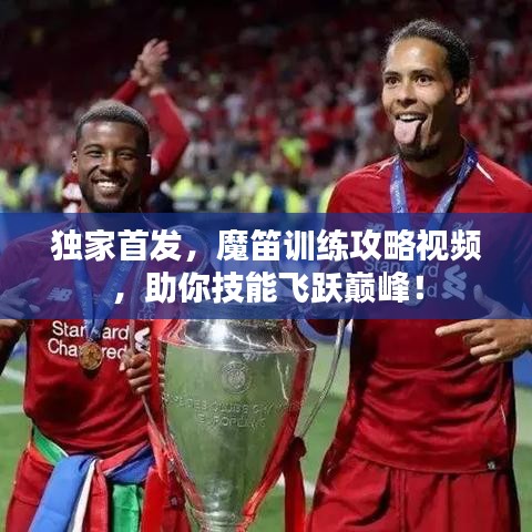 独家首发，魔笛训练攻略视频，助你技能飞跃巅峰！