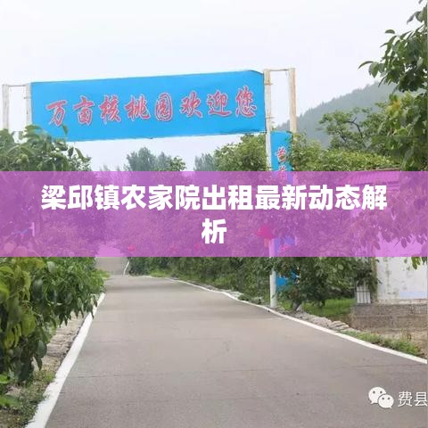 梁邱镇农家院出租最新动态解析