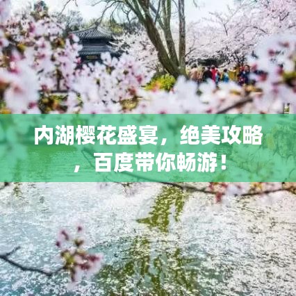 内湖樱花盛宴，绝美攻略，百度带你畅游！