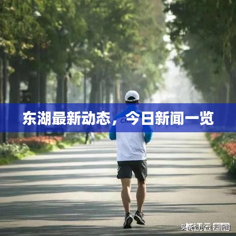 东湖最新动态，今日新闻一览