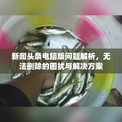 怀真抱素