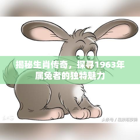 揭秘生肖传奇，探寻1963年属兔者的独特魅力