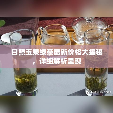 日照玉泉绿茶最新价格大揭秘，详细解析呈现