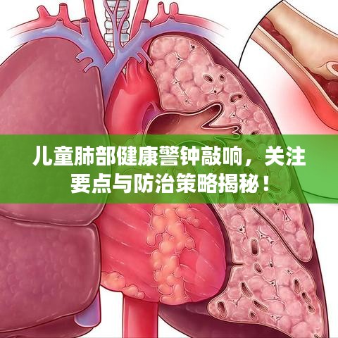 手不释卷