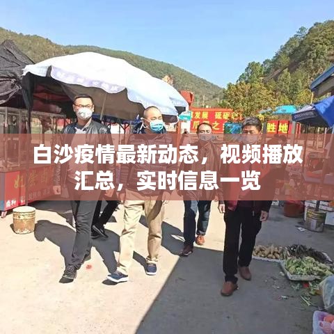 笼中之鸟