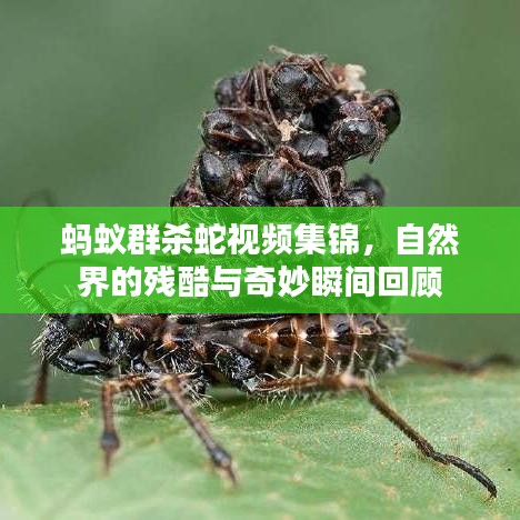 呼吸相通