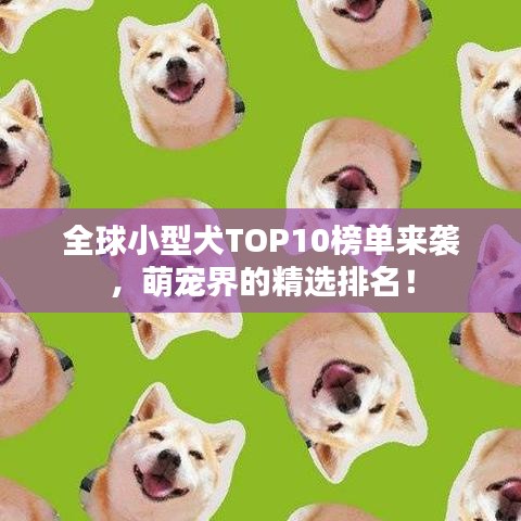 悠然自得