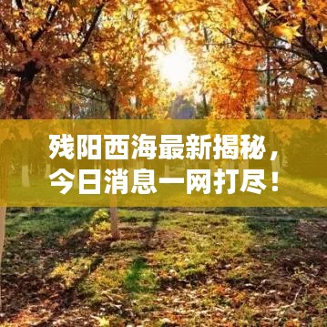 残阳西海最新揭秘，今日消息一网打尽！
