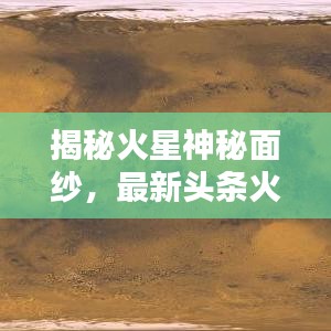 沉灶生蛙
