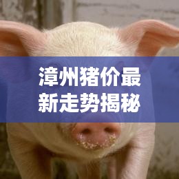人贵自立