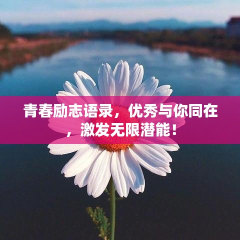 草长莺飞