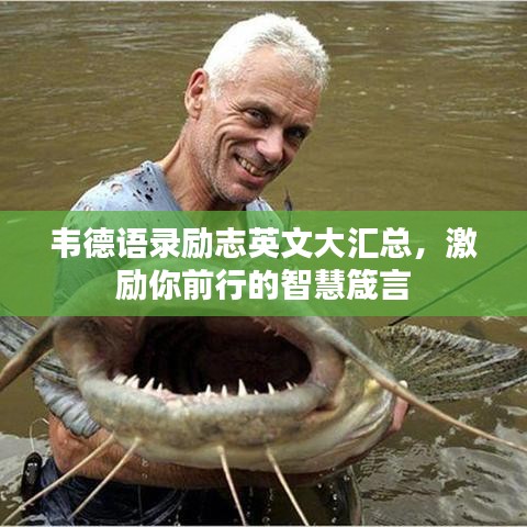 韦德语录励志英文大汇总，激励你前行的智慧箴言
