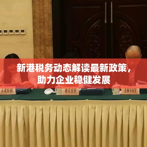 新港税务动态解读最新政策，助力企业稳健发展