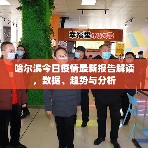 哈尔滨今日疫情最新报告解读，数据、趋势与分析