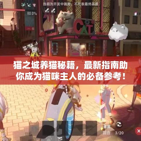 猫之城养猫秘籍，最新指南助你成为猫咪主人的必备参考！