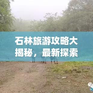 石林旅游攻略大揭秘，最新探索指南，带你畅游神秘之地！