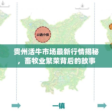 贵州活牛市场最新行情揭秘，畜牧业繁荣背后的故事