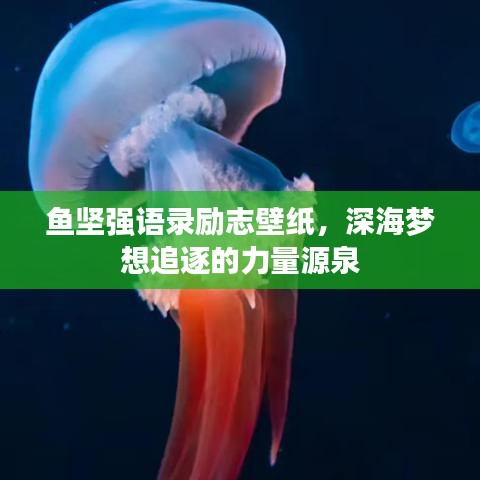 贵在知心
