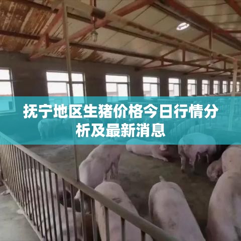 抚宁地区生猪价格今日行情分析及最新消息