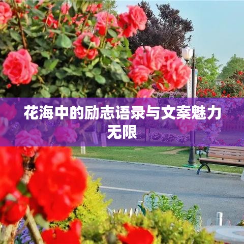 花海中的励志语录与文案魅力无限