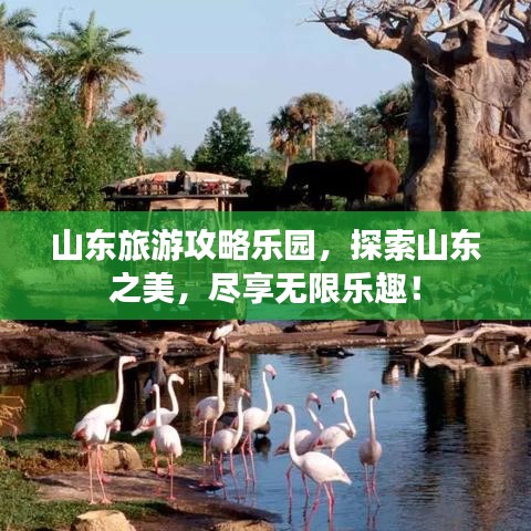 山东旅游攻略乐园，探索山东之美，尽享无限乐趣！