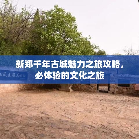 新郑千年古城魅力之旅攻略，必体验的文化之旅