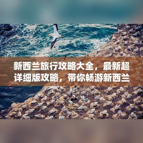 新西兰旅行攻略大全，最新超详细版攻略，带你畅游新西兰！