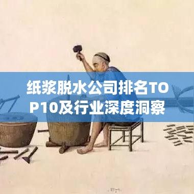 纸浆脱水公司排名TOP10及行业深度洞察解析