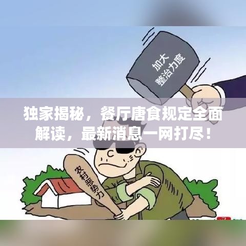 独家揭秘，餐厅唐食规定全面解读，最新消息一网打尽！