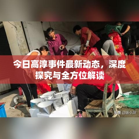 今日高淳事件最新动态，深度探究与全方位解读