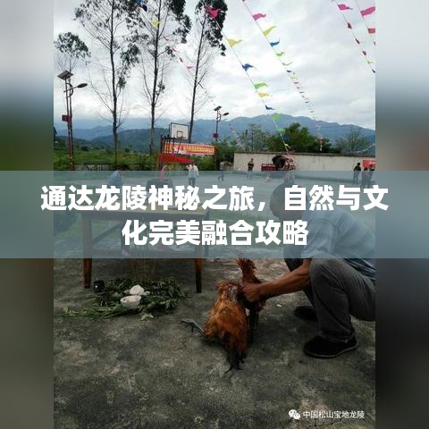 通达龙陵神秘之旅，自然与文化完美融合攻略