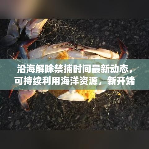 沿海解除禁捕时间最新动态，可持续利用海洋资源，新开端来临