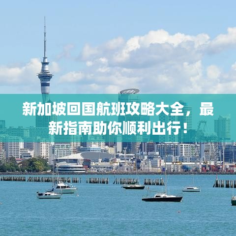 新加坡回国航班攻略大全，最新指南助你顺利出行！