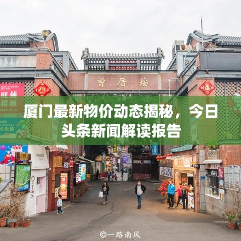 厦门最新物价动态揭秘，今日头条新闻解读报告