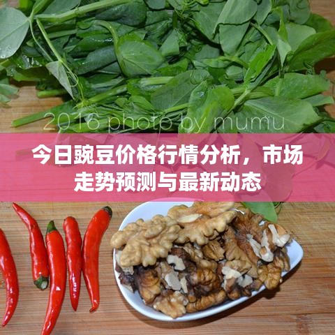 今日豌豆价格行情分析，市场走势预测与最新动态