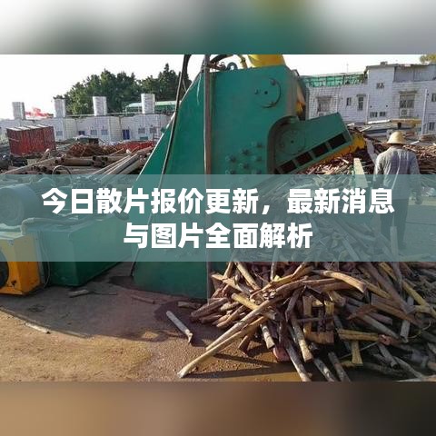 2025年5月14日 第14页