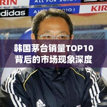 韩国茅台销量TOP10背后的市场现象深度解析