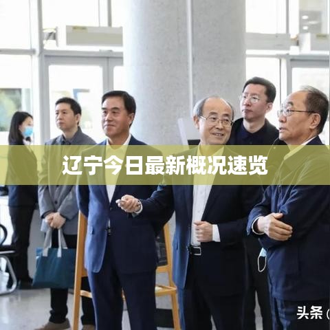辽宁今日最新概况速览