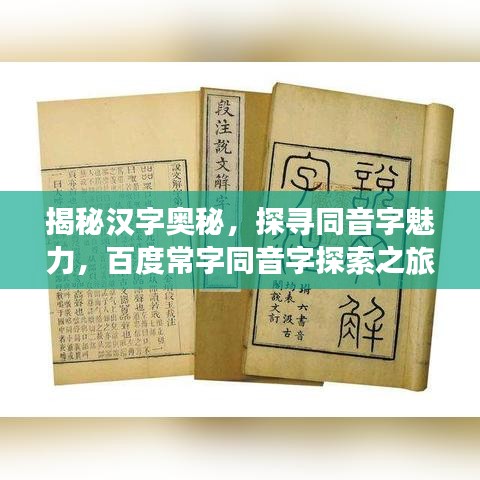 揭秘汉字奥秘，探寻同音字魅力，百度常字同音字探索之旅