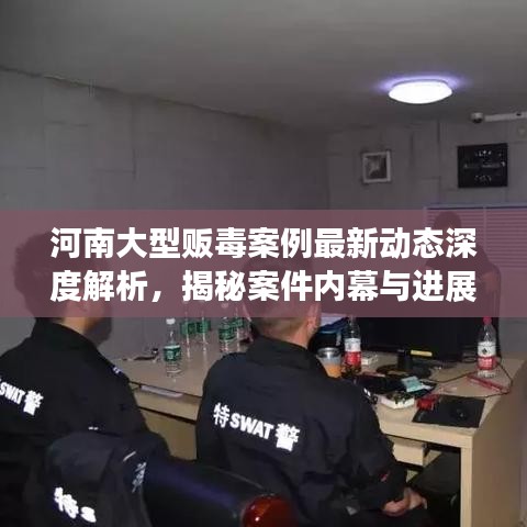 河南大型贩毒案例最新动态深度解析，揭秘案件内幕与进展
