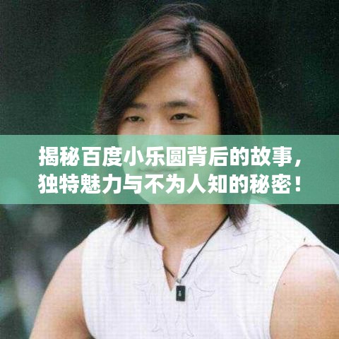 揭秘百度小乐圆背后的故事，独特魅力与不为人知的秘密！