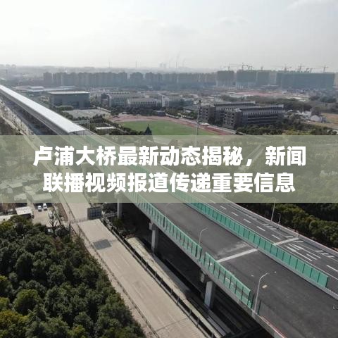 卢浦大桥最新动态揭秘，新闻联播视频报道传递重要信息