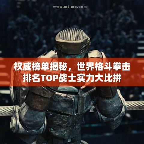 权威榜单揭秘，世界格斗拳击排名TOP战士实力大比拼