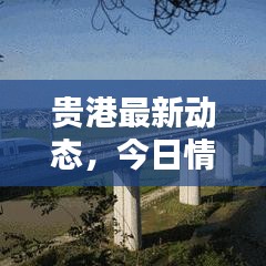 贵港最新动态，今日情况速递