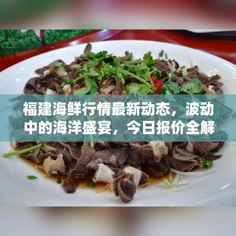 福建海鲜行情最新动态，波动中的海洋盛宴，今日报价全解析