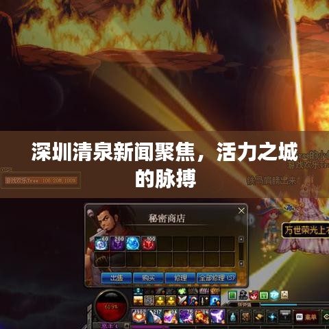 深圳清泉新闻聚焦，活力之城的脉搏