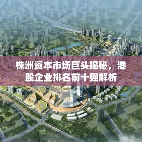 株洲资本市场巨头揭秘，港股企业排名前十强解析