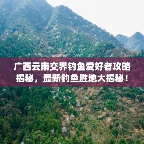广西云南交界钓鱼爱好者攻略揭秘，最新钓鱼胜地大揭秘！